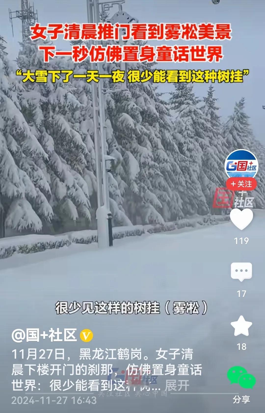 看过视频，赋诗一首。
七绝  鹤归来兮
夜里不知雪飘飞，
晨起万树如雪堆。
莫是