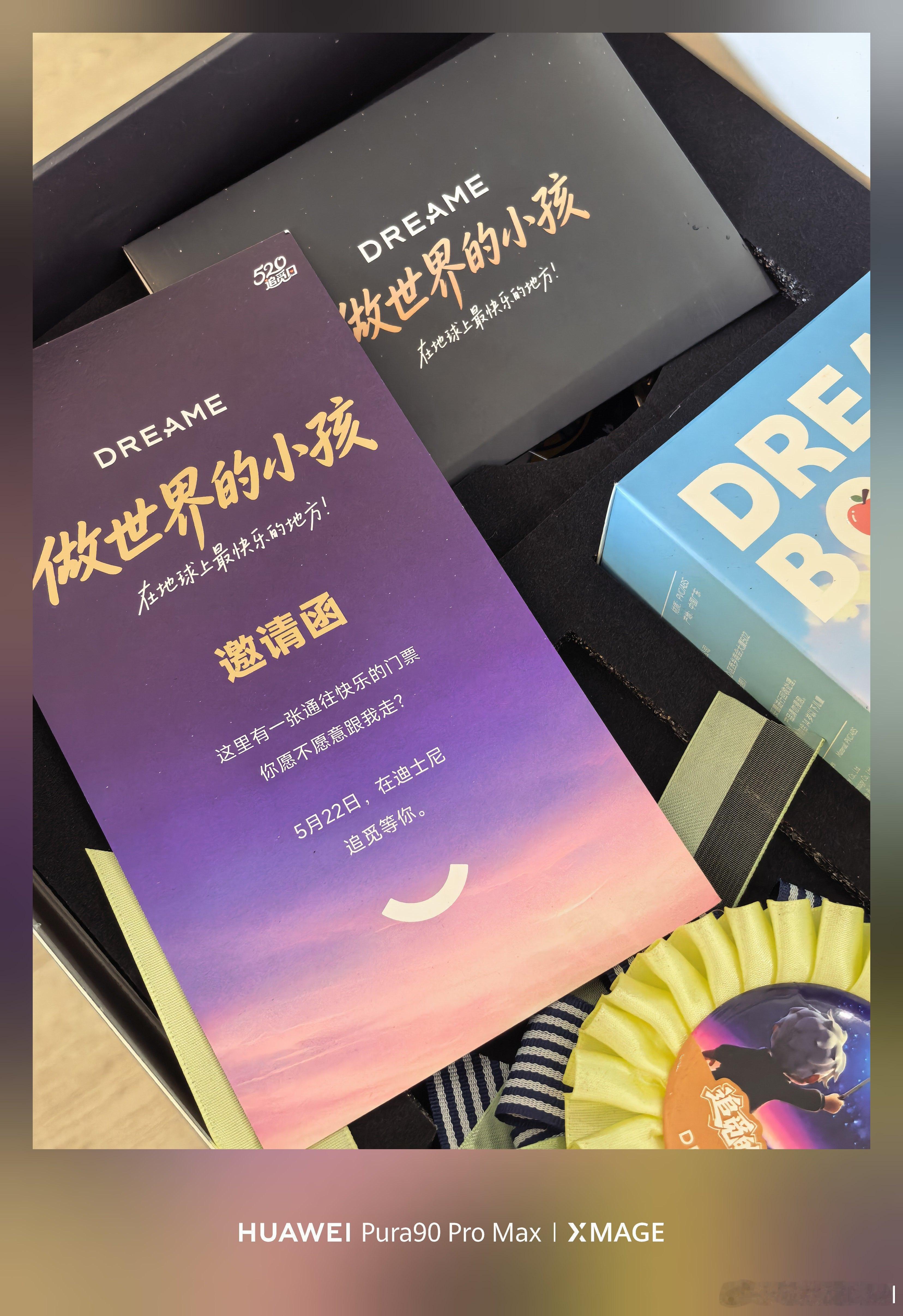 Yes, I Do.跟追觅去迪士尼，我愿意