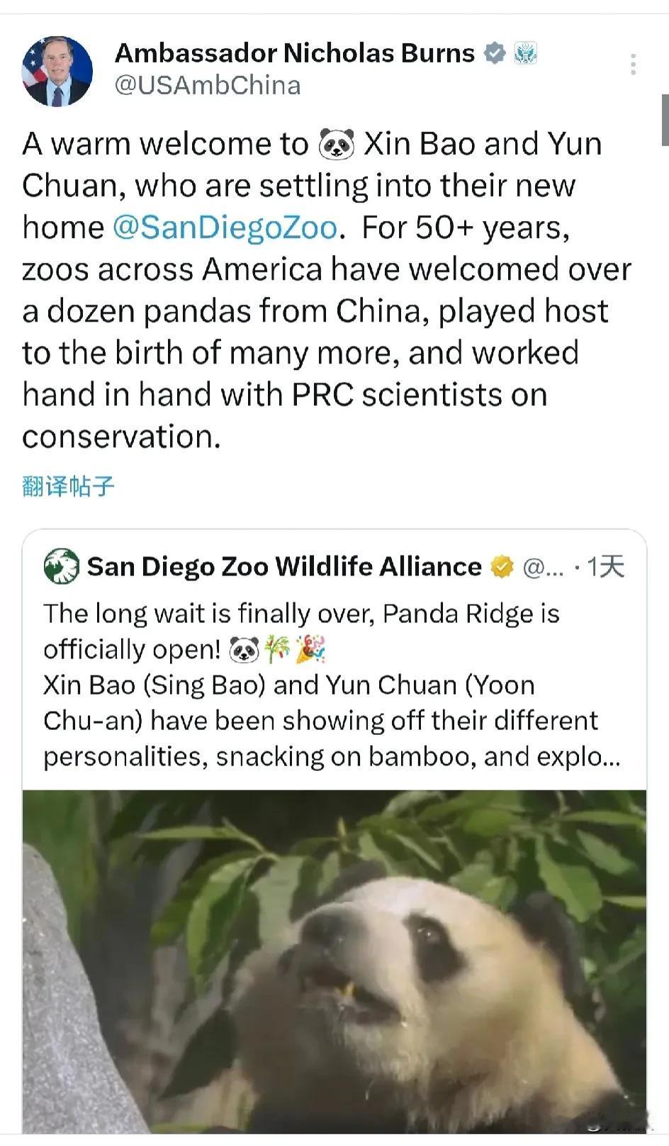 中国🇨🇳熊猫🐼
到了美国🇺🇸
美国驻华大使伯恩斯发文说：“热烈欢迎🐼