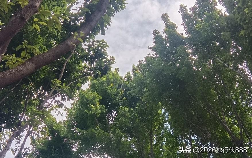 卖药的尽头就是卖酒！
最近不少厂家业务都不卖药了，都在诊所，药店主推酒。

药企