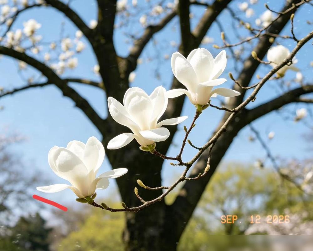 有些老规矩，科学解释不了，但老一辈传下来，没人敢不当回事。

我倒觉得，这些讲究