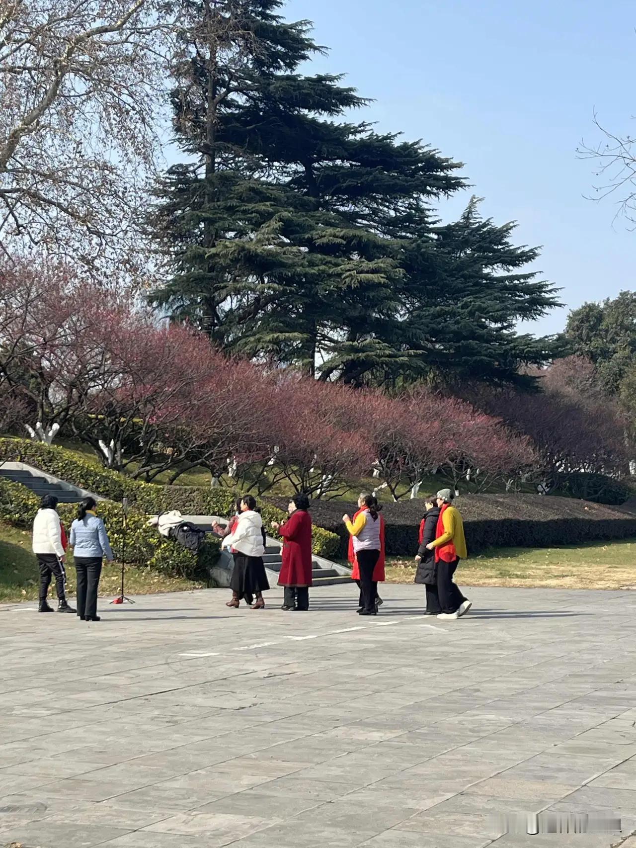 完整榜单
你认为什么是真正的养老？这个问题，似乎简单，却藏着无数人的迷茫与思考。