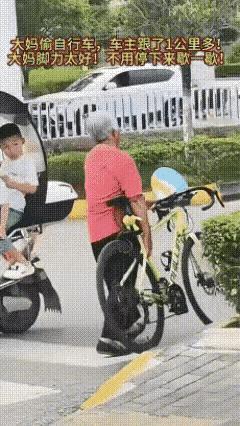 一辆自行车值不了多少钱，不值得啊大妈[灵光一闪]