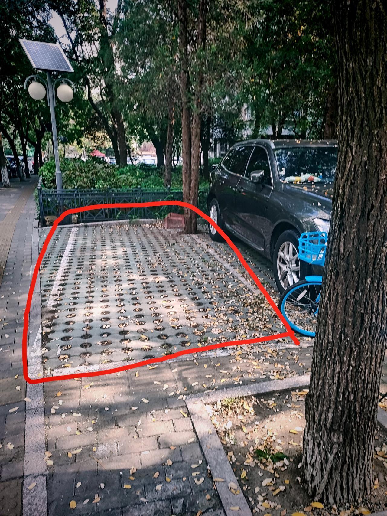 要开进这个车位可不容易
一边是树
一边是路
一边是栅栏

司机，是个手艺活