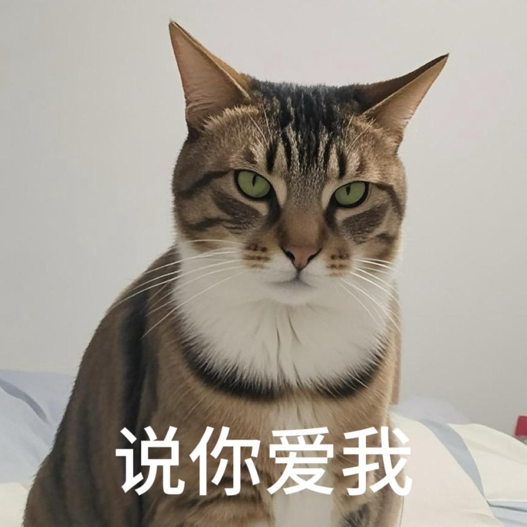 给你一秒钟反应时间，说你爱我。