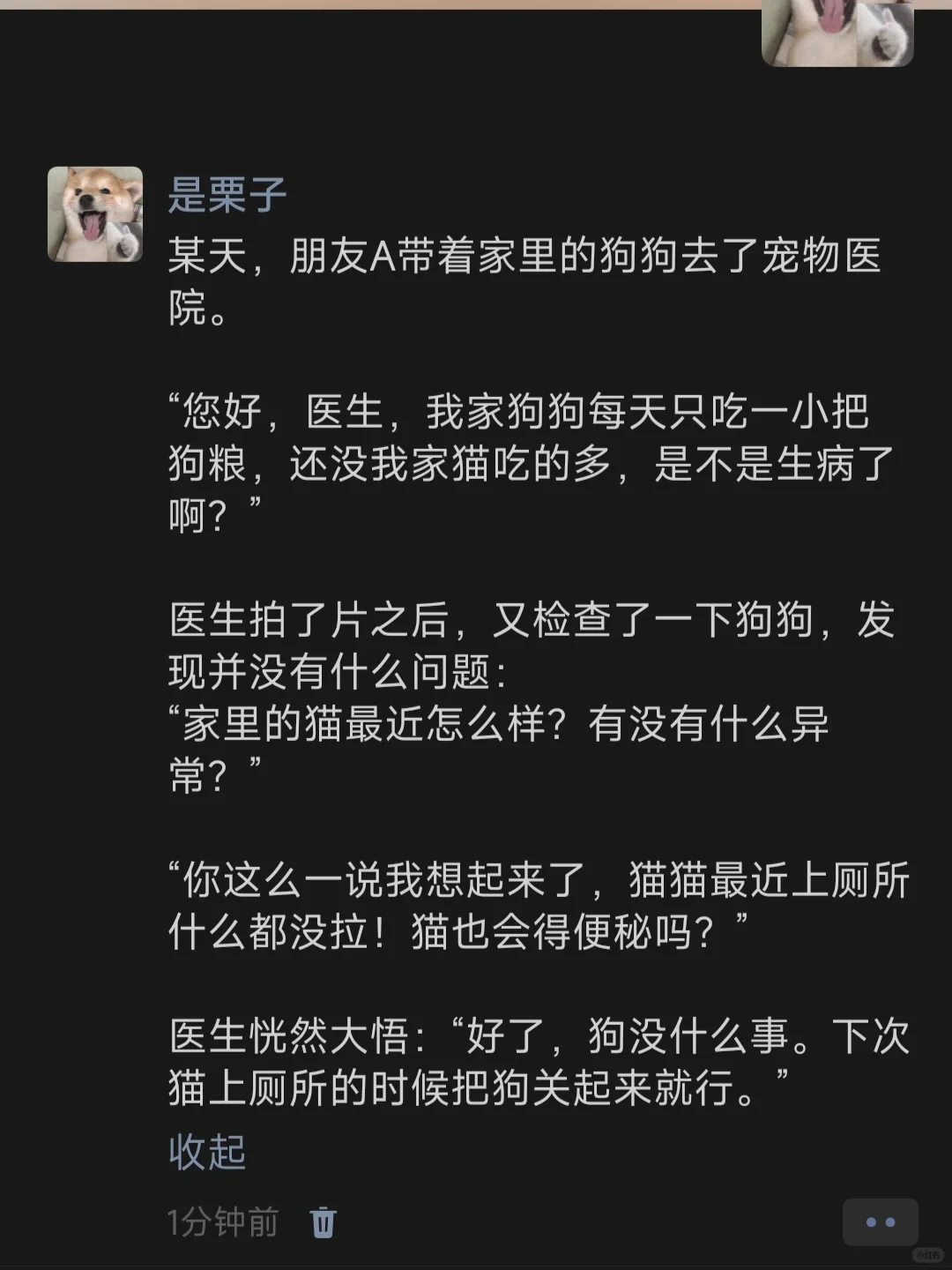 某天，朋友A带着家里的狗狗去了宠物医院。