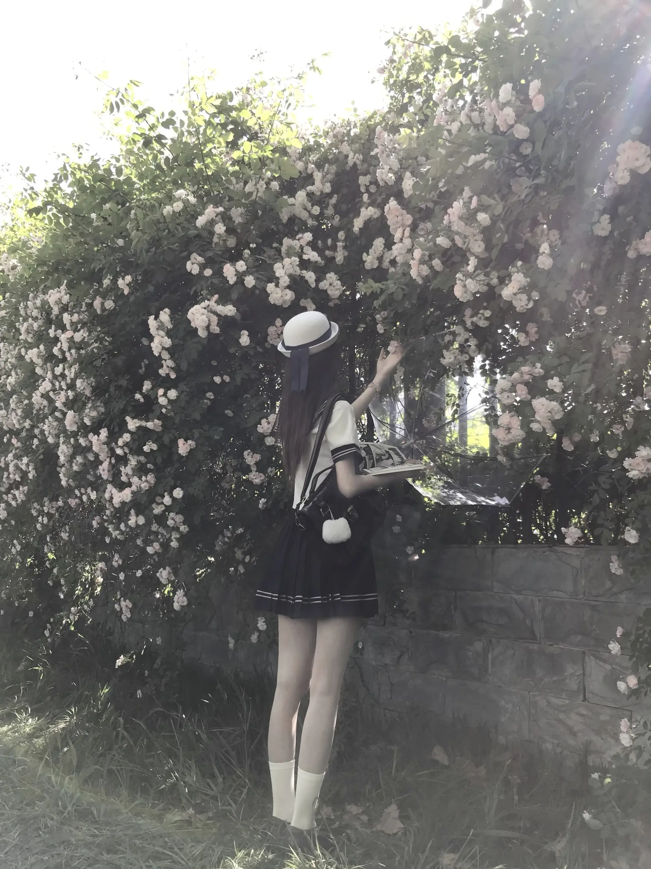 ⁺. ˖春の花は冬の夢です˚₊ ✮ ༝