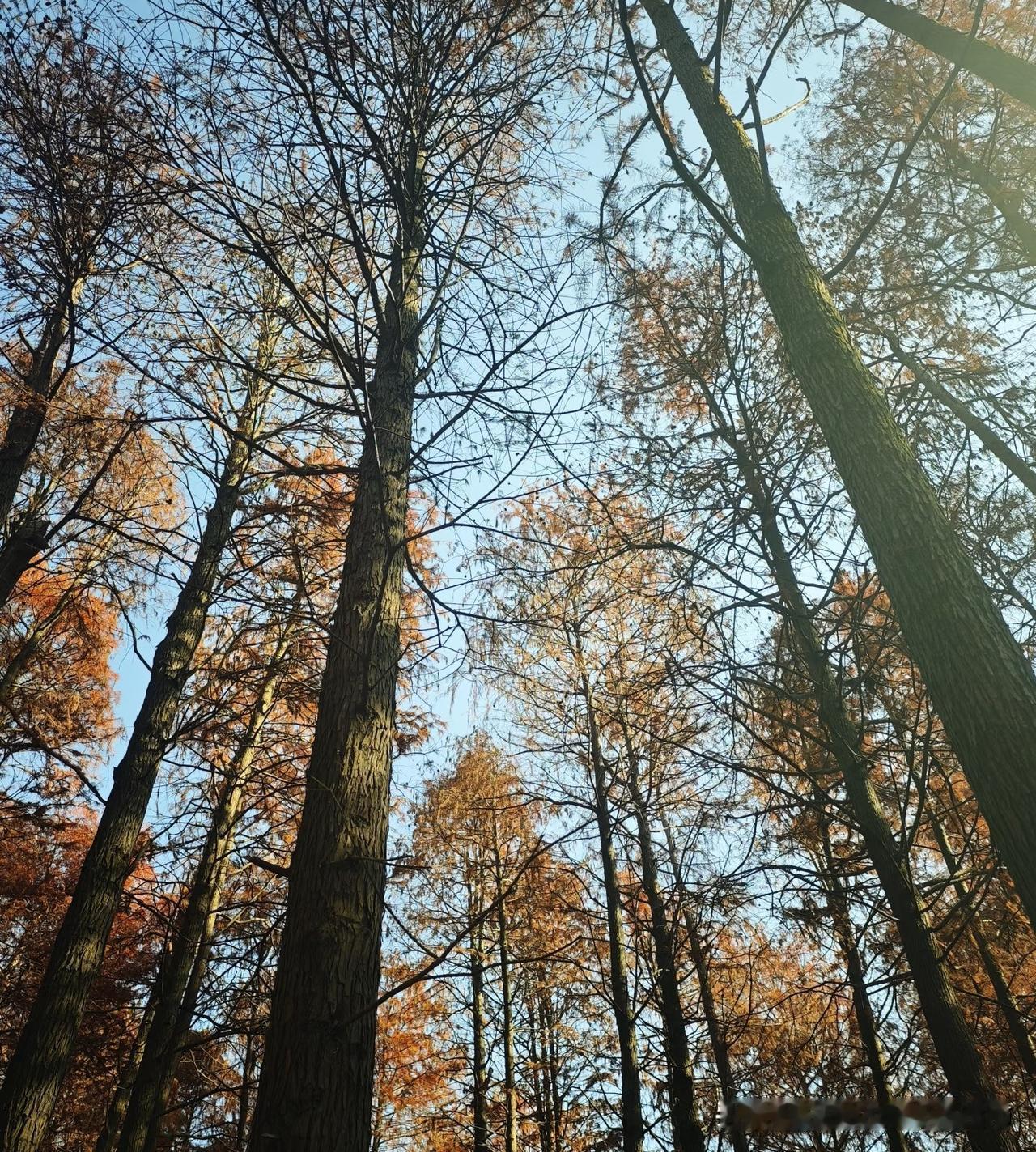 岁月教给我的智慧——让子弹飞一会儿！
  
每日生活感悟分享 永远都不要提前害怕