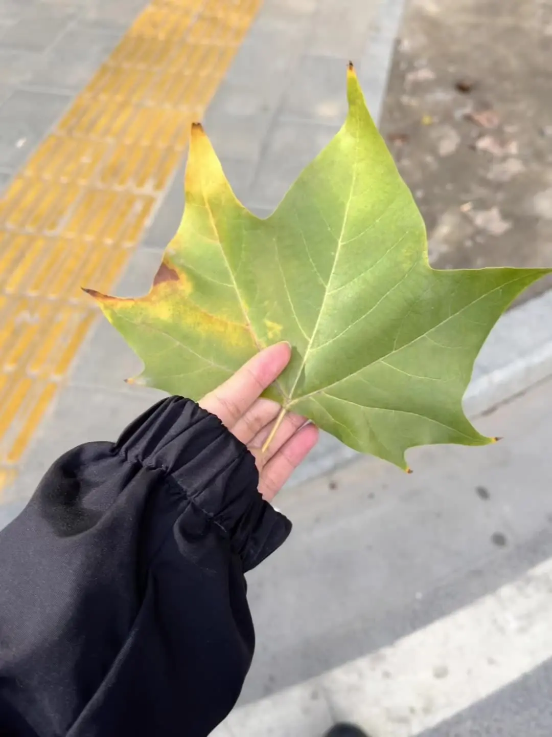 原相机 分享照片 今天穿什么 拒绝容貌焦虑