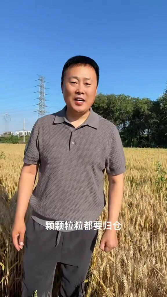 家有粮来心不慌，颗颗粒粒都要归仓。土地不辜负咱勤劳的人，洒下汗水换来谷满仓。