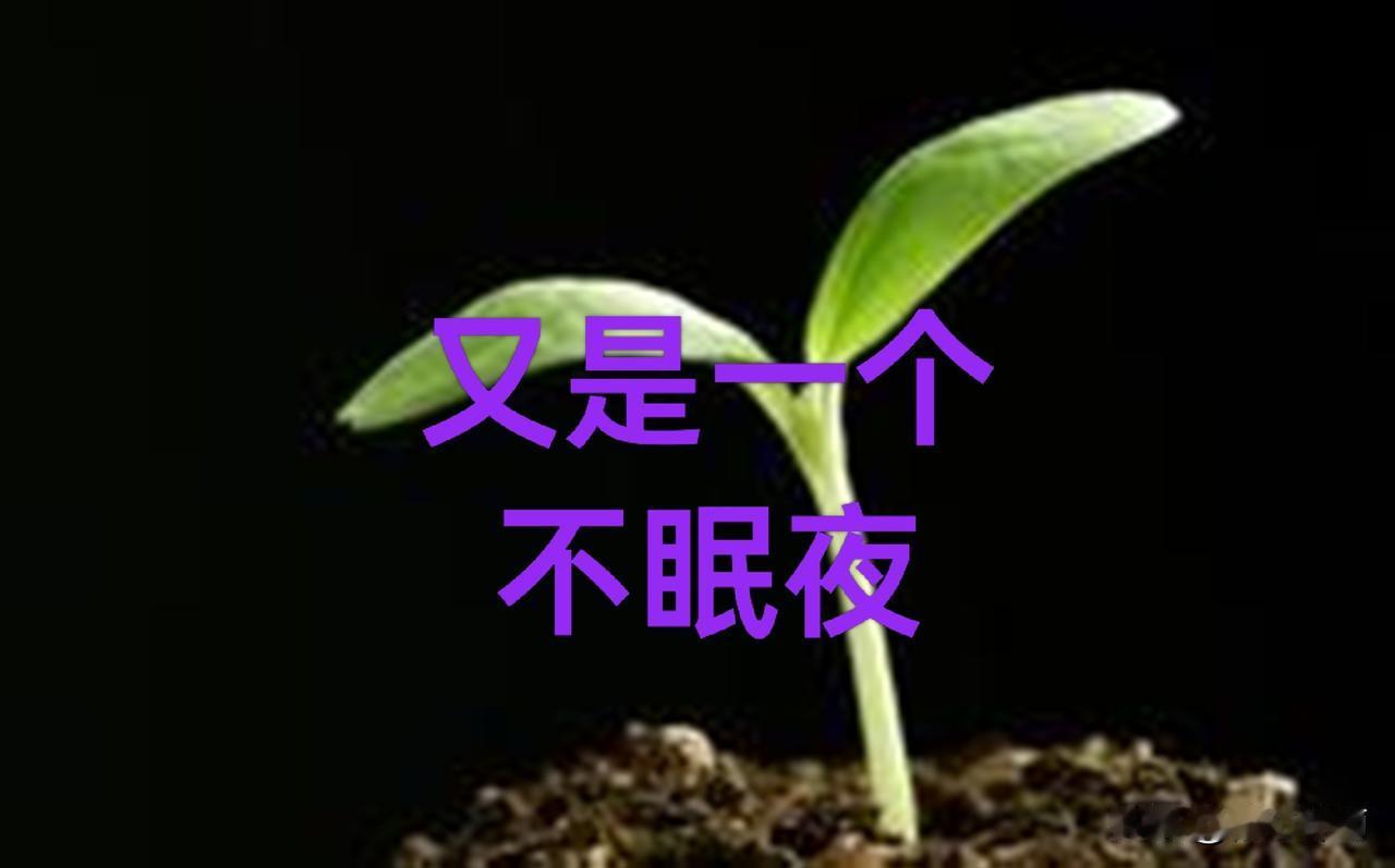 又是一个不眠夜，想着他们的痛苦矛盾，我内心焦虑煎熬辗转反侧。

心理学家武志红说