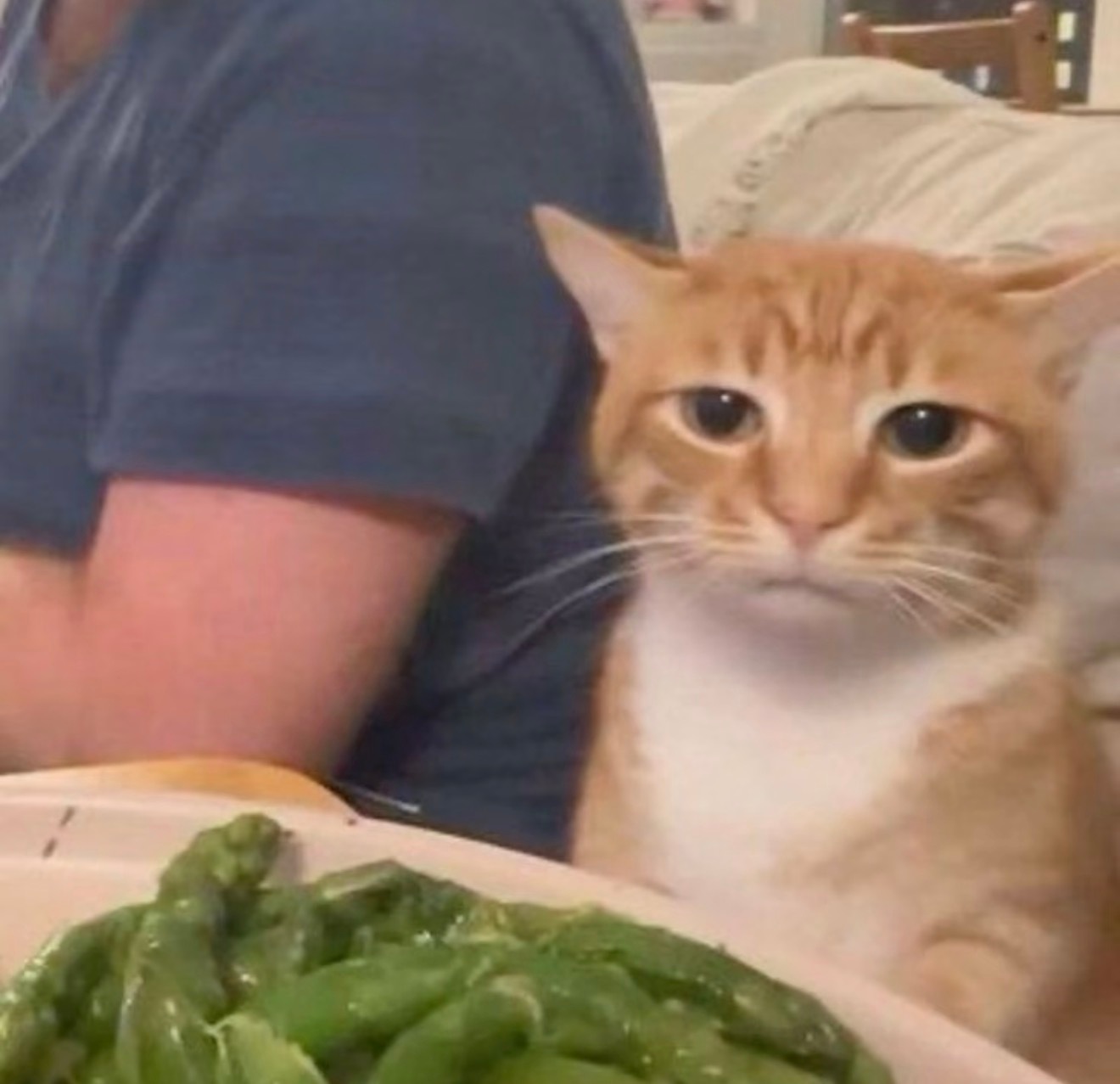 西贝将关闭102家门店房租、人力成本太大，西贝前段时间的预制菜争议，也确实消耗了