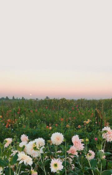 这个世界并不会在意你的自尊，而是要求你在自我感觉良好之前，先有所成就。—— 比尔