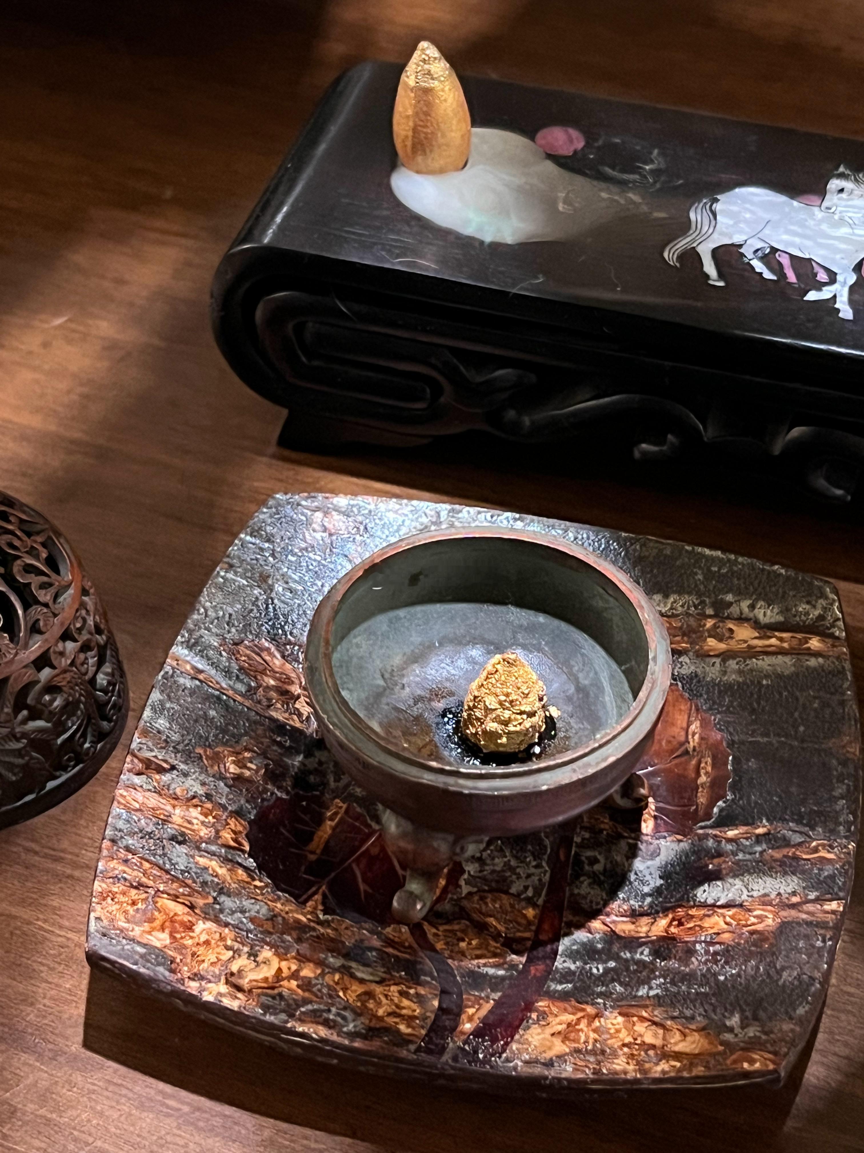 扶完花的夜晚，带着一身蚊子包进屋，来不及抓挠上药，发现下水道堵了，猫在下柜一顿忙