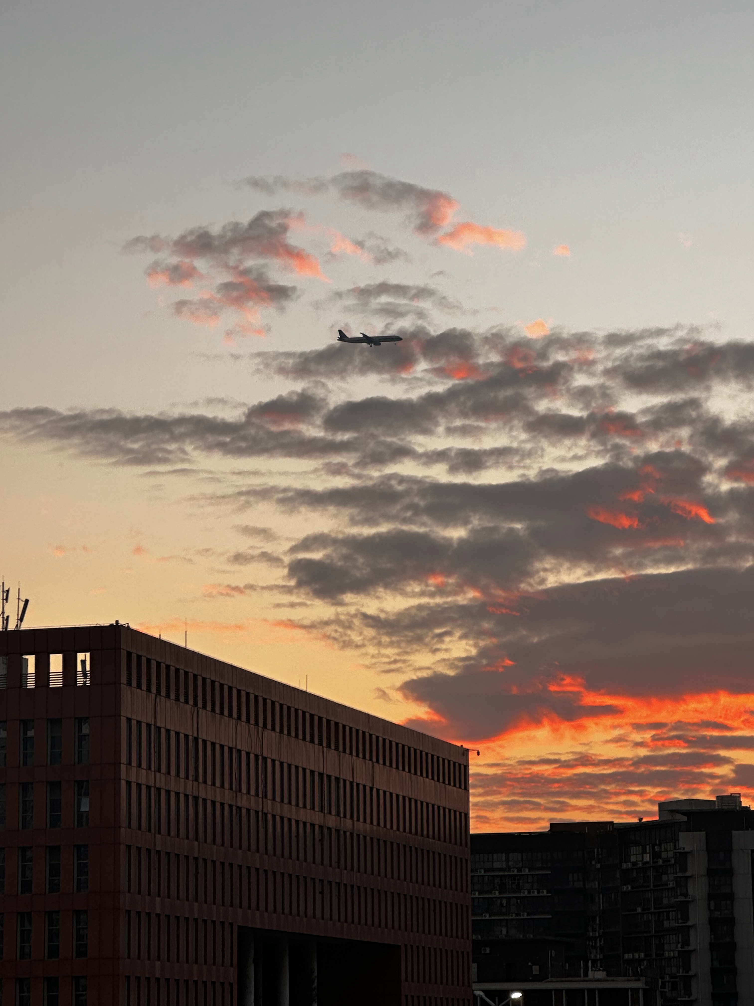 人最难做到的就是实事求是，妄念、贪念、杂念一大堆，就算想实事求是，你也不知道怎样