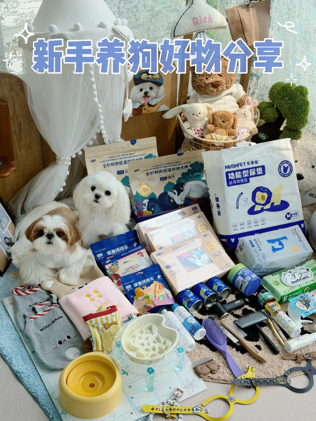 新手养狗好物分享