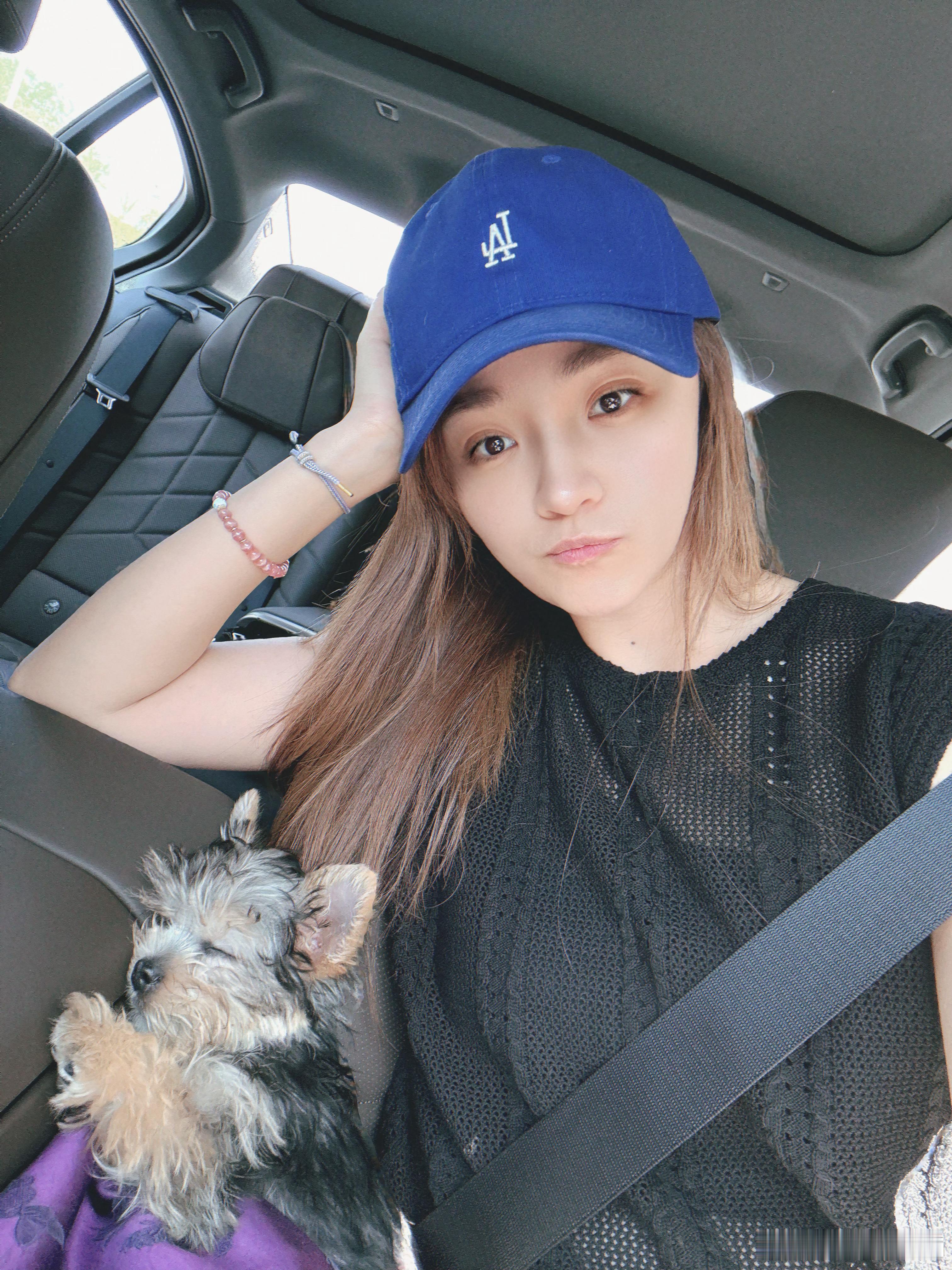 我们还没打完疫苗我们还比较潦草～约克夏可爱小狗我的日常plog ​​​