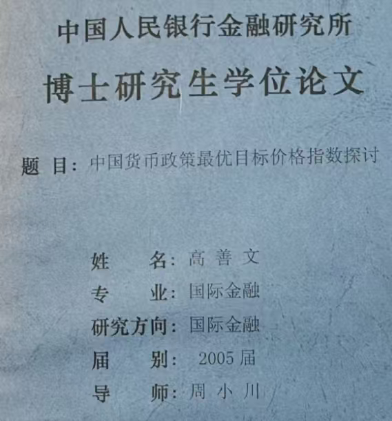 高善文博士论文 