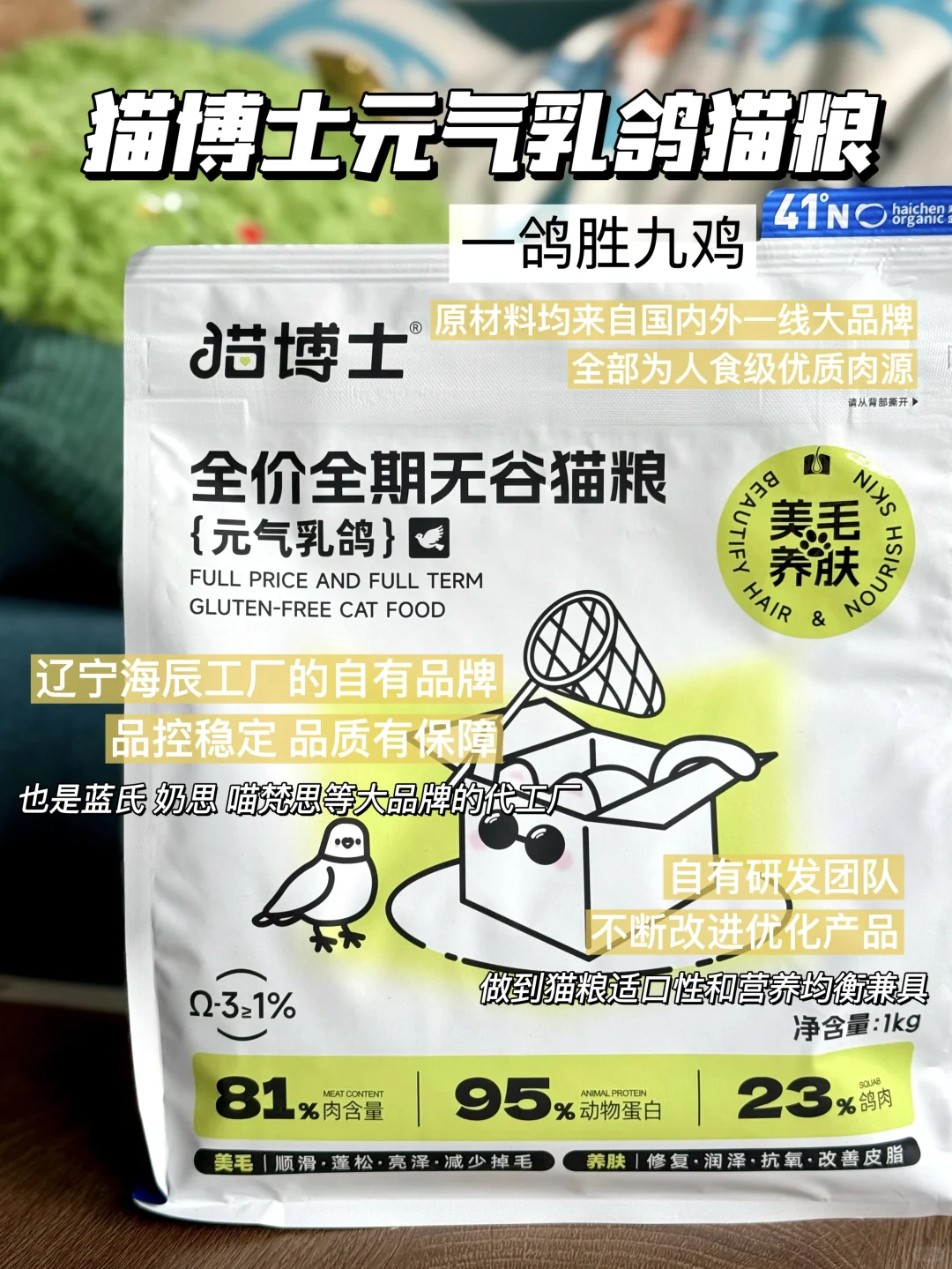 绝❗️蒲公英小猫和铲屎官老母亲都有救了😭