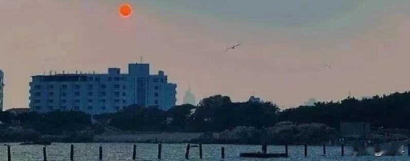 一万块工资掰成五份花，是木匠几个月的工地苦力钱，也是全家的盼头。


出租房的灶