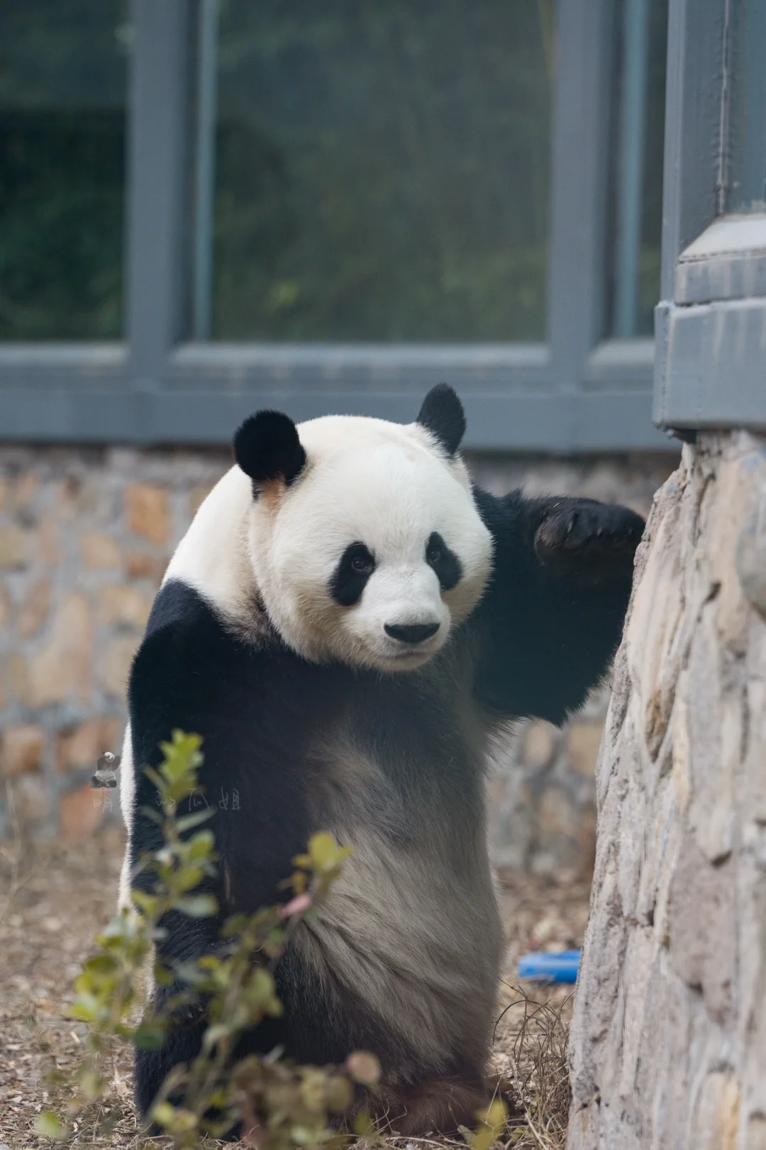 真的好喜欢么么儿啊！