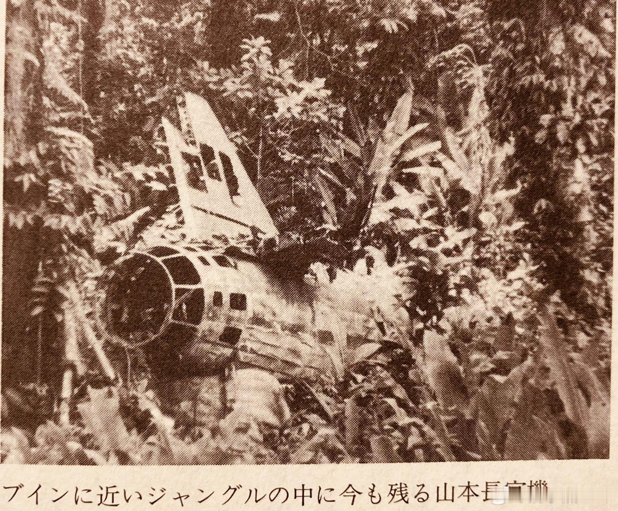 山本快乐机 