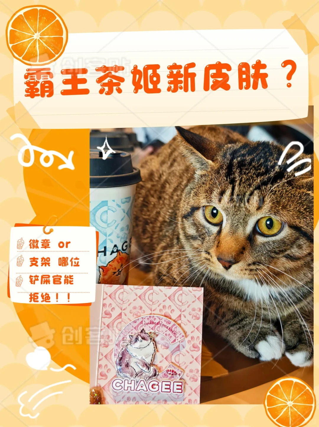 姬姐这波赢麻了❗️❗️❗️