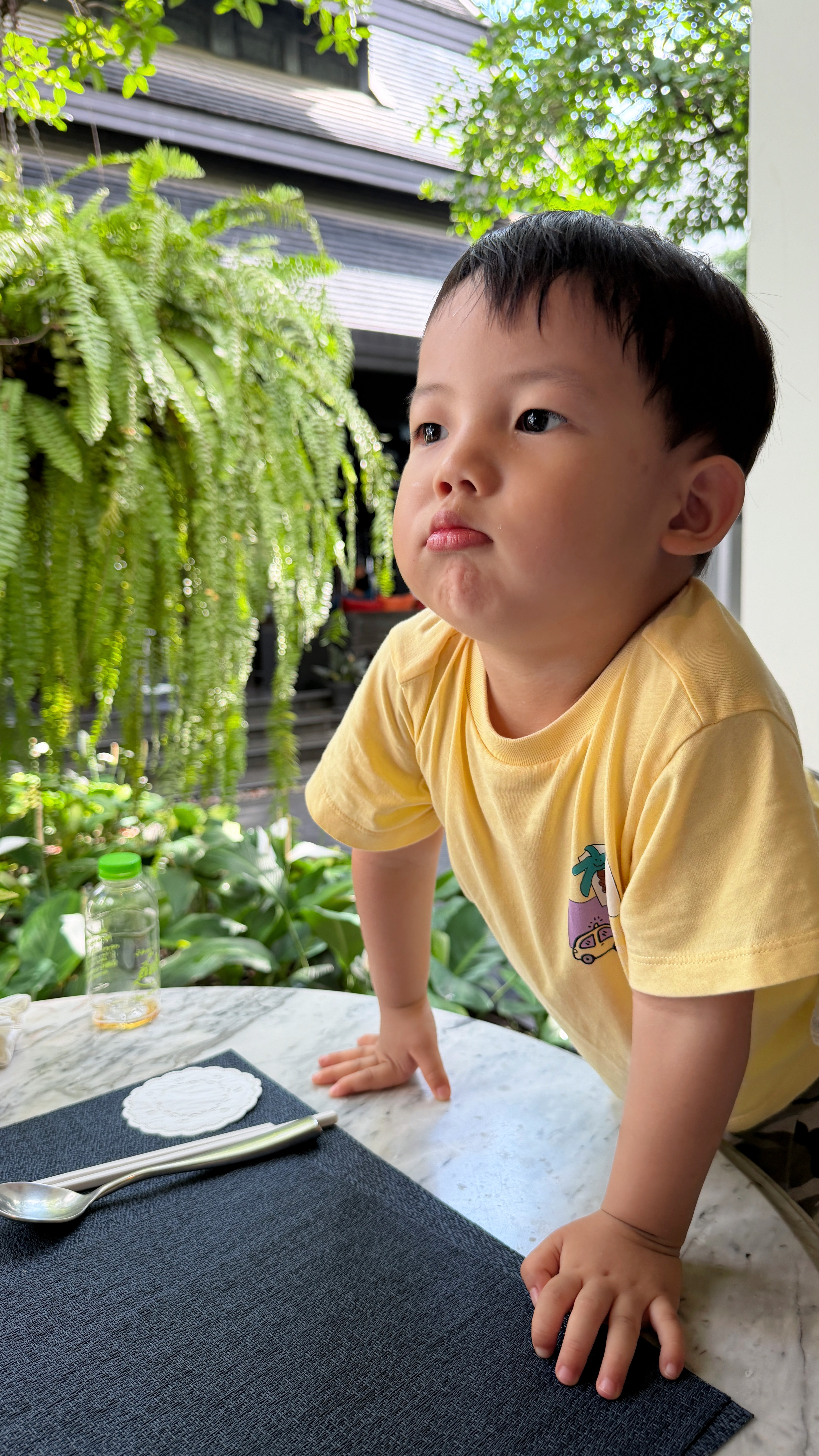 吃完早餐，出发去玩啦。今天很轻松，小朋友让老师带着去玩，大人们喝茶聊天看风景。 