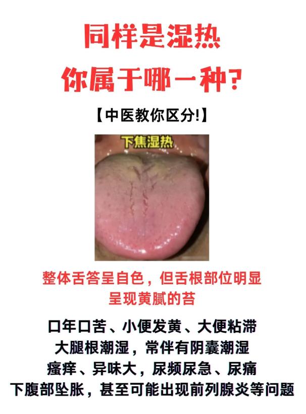 同样是湿热，下焦和全身湿热怎么区分？