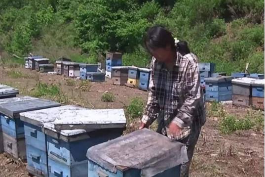 2006年，黑龙江一女子睡觉时，一条大蛇钻进了她的被窝，女子心软没把它赶走，谁知