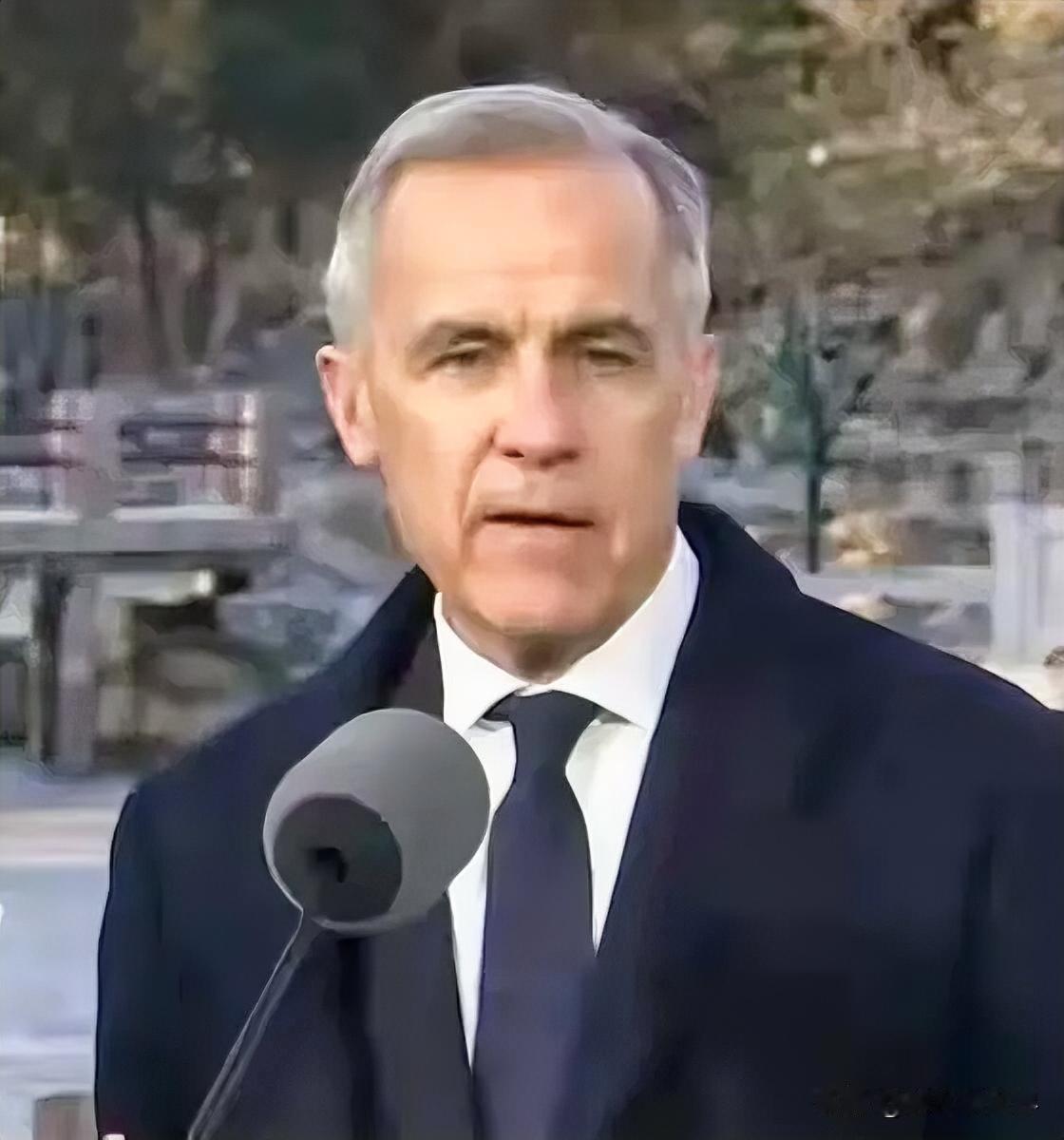 1月20日，加拿大总理卡尼在瑞士达沃斯论坛上的演讲，可谓是掷地有声，甚至可以说是