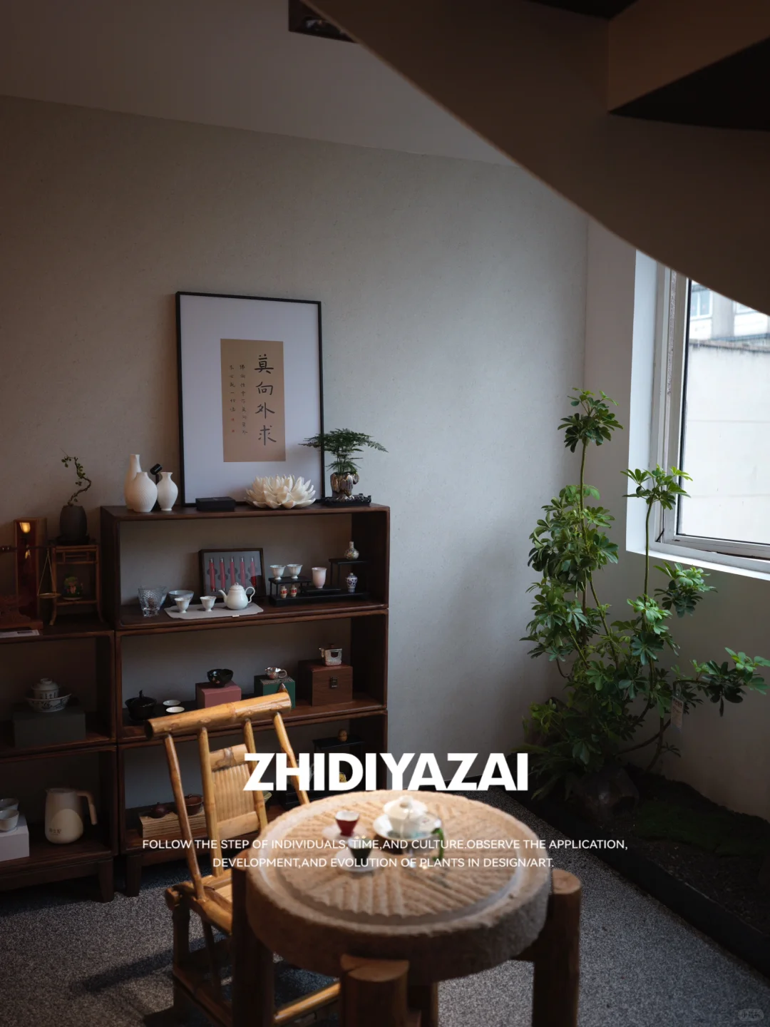 植地雅栽｜颂展茶事 室内植物景观