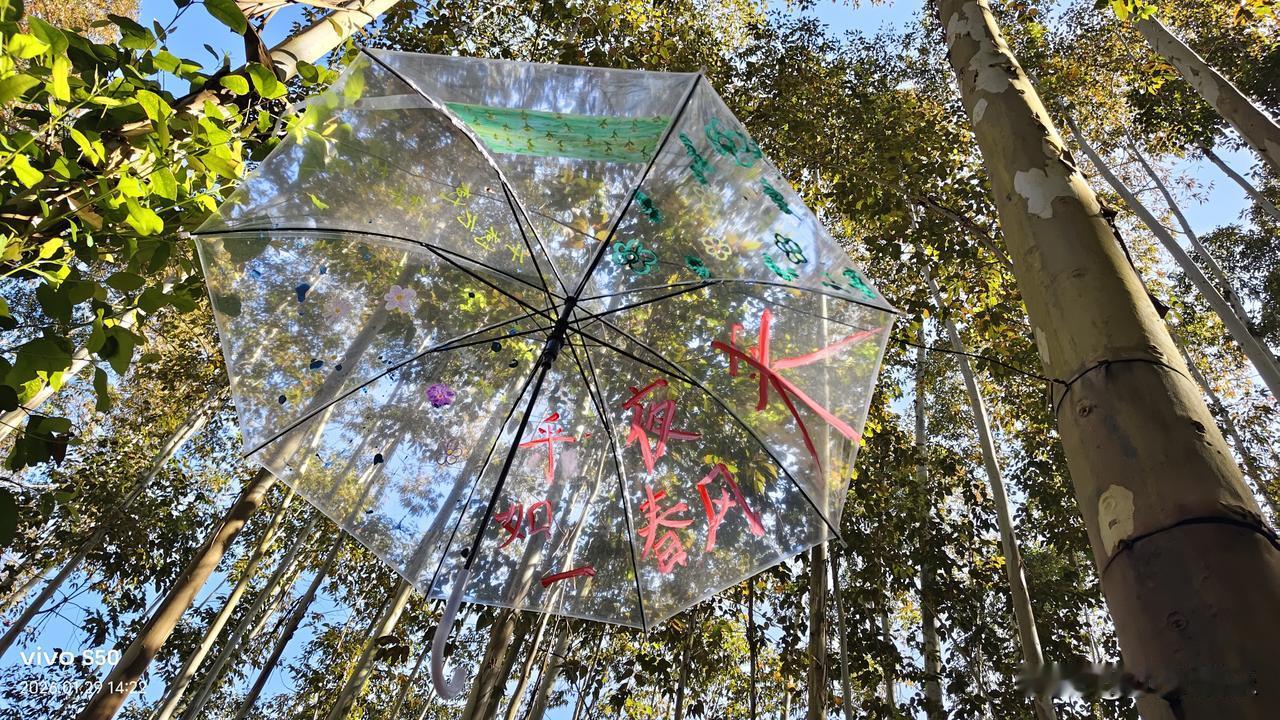 1.不喜欢被问东问西，好像自己有点什么事，大人都要知道一样，就一定要掌控你一样，