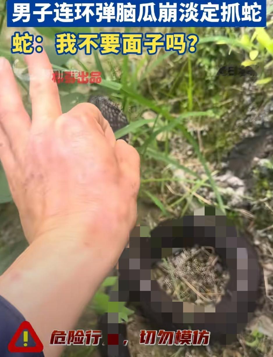 福建一男子，在大豆田劳作时，遇到一条剧毒眼镜蛇，话说这种情况下，一般人肯定都会吓