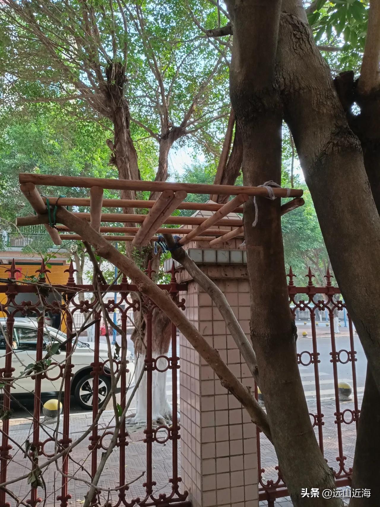 前天见到儿子，问他在忙啥？得知他折腾怎么做菜，我听到竟然高兴极了，去小地方过正常