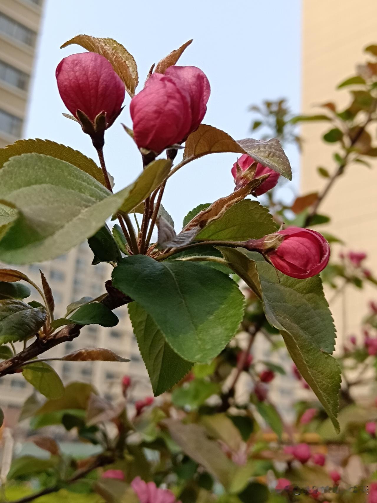 一，不揭人短，不搬弄是非；
二，随手帮忙，不求回报；
三，说话留三分，不挖苦不讽