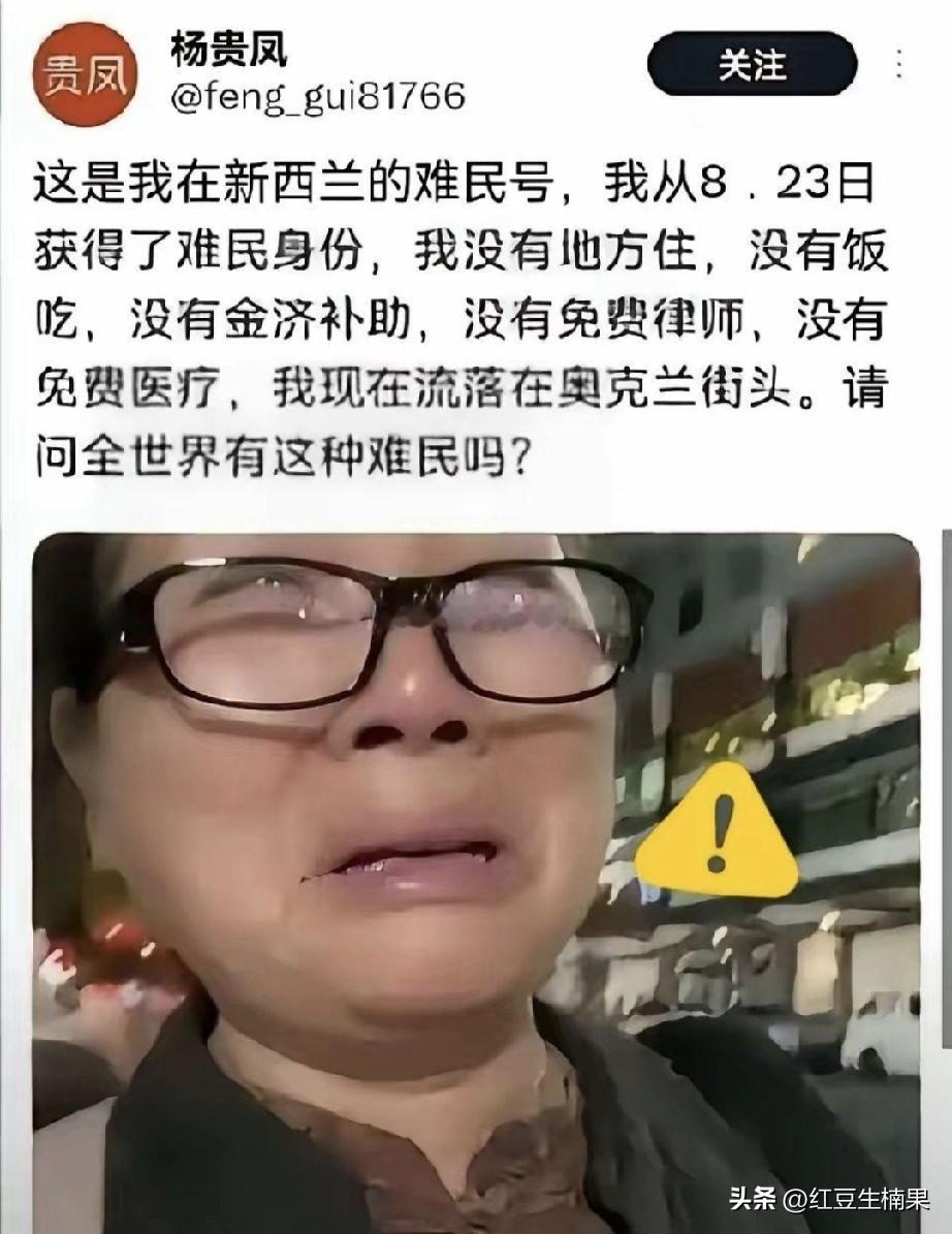 放着好好上等身份不要，非要移民去做难民身份，现在这种结局怪谁呢？
还不是怪她自己