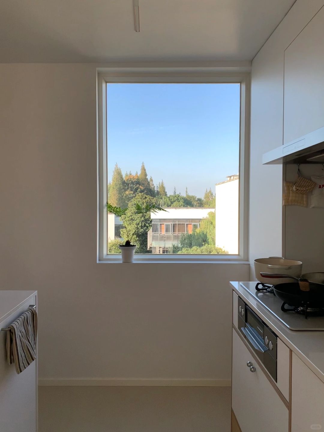 从日出到日暮🌅