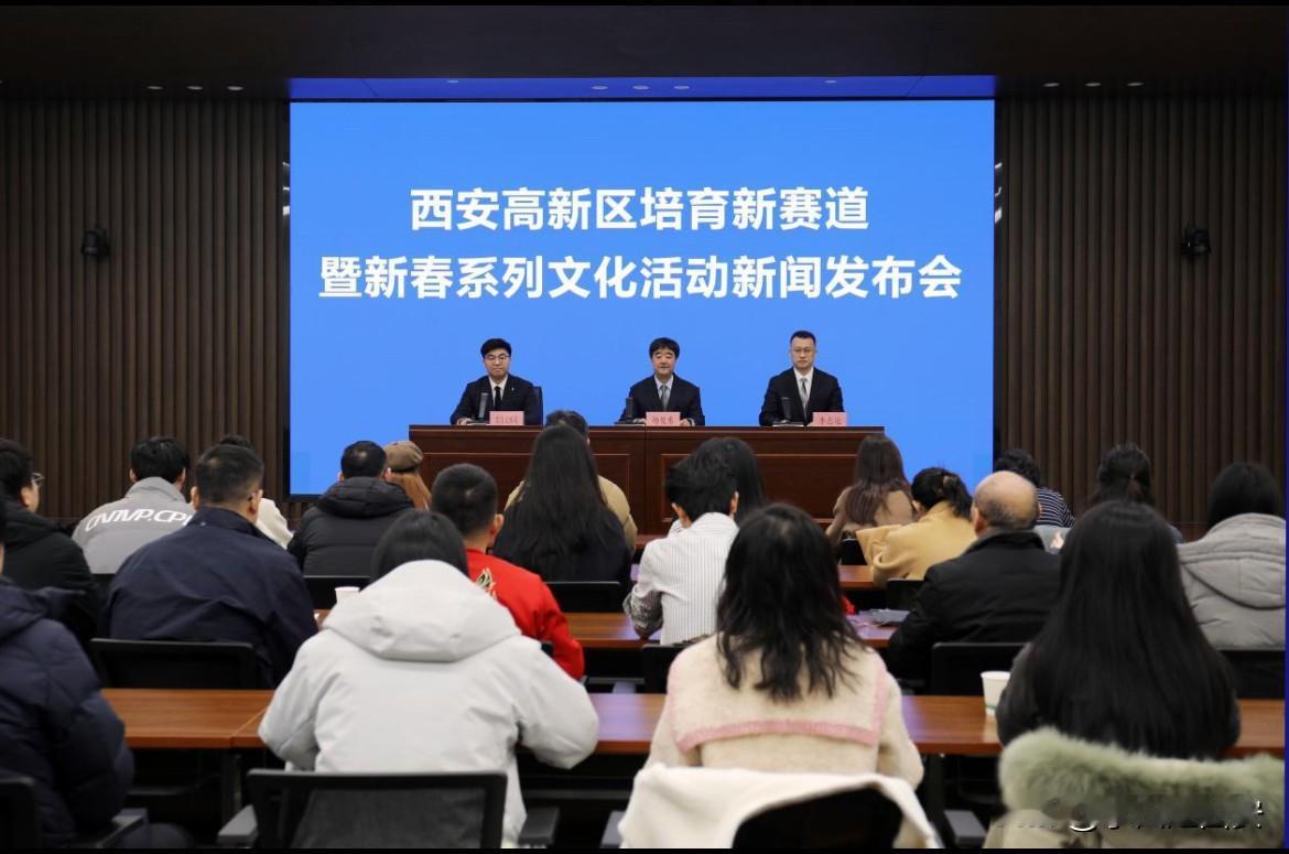 西安高新区锚定高性能集成电路、高端新材料、低空经济、高端医疗器械四大国家级新赛道