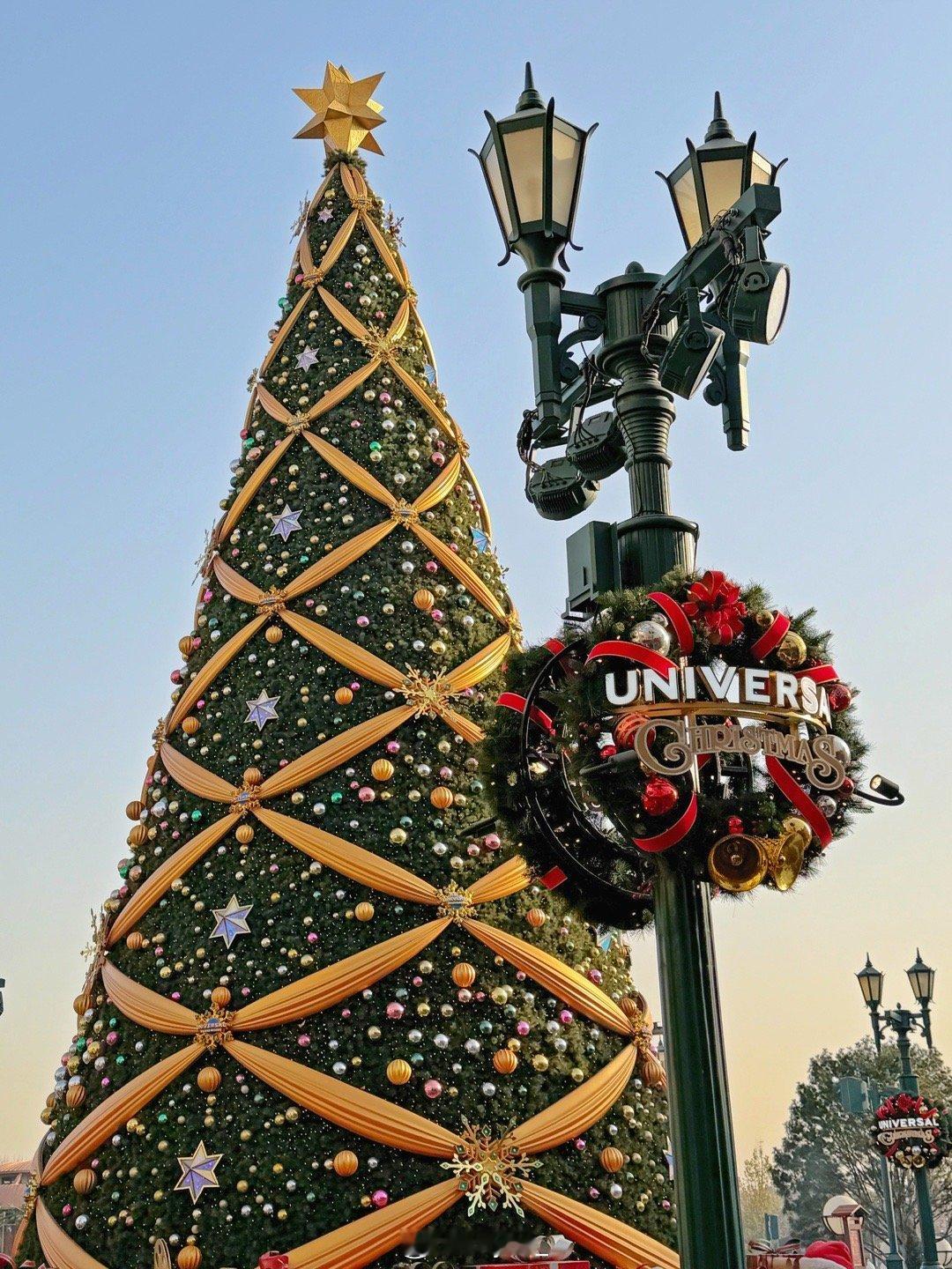 日常碎片plog 🎄🎠 