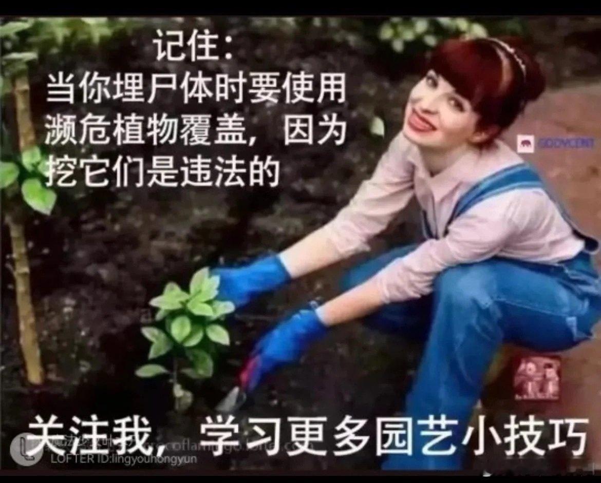 [太开心]今天开始更新这个系列——站在不同星宿组角度看待其他星宿[爱你][吹风车