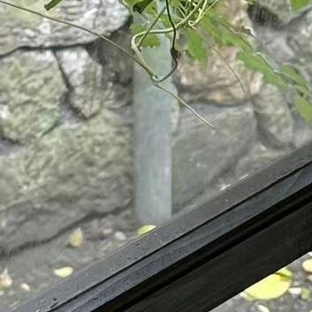 0000低谷反弹深渊是登高的起跳板，伤痕锻造出更坚毅的翅膀。低谷越深，你触及星辰