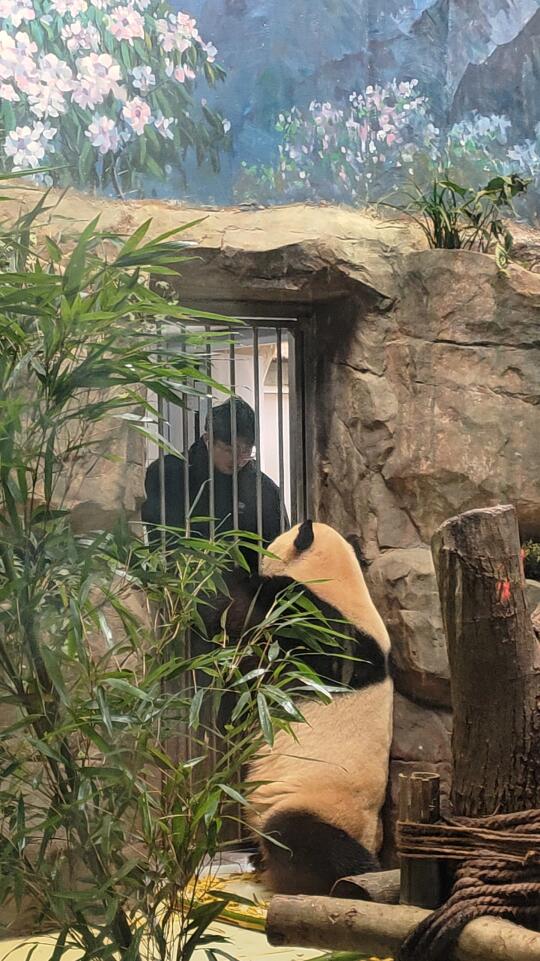 奶爸吐槽说五一就喜欢吃给到他手上的食物