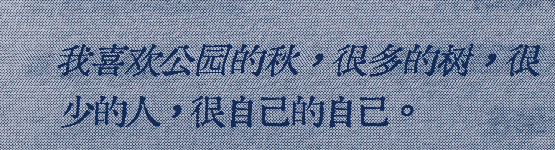 救命，好爱这句“很多的树，很少的人”