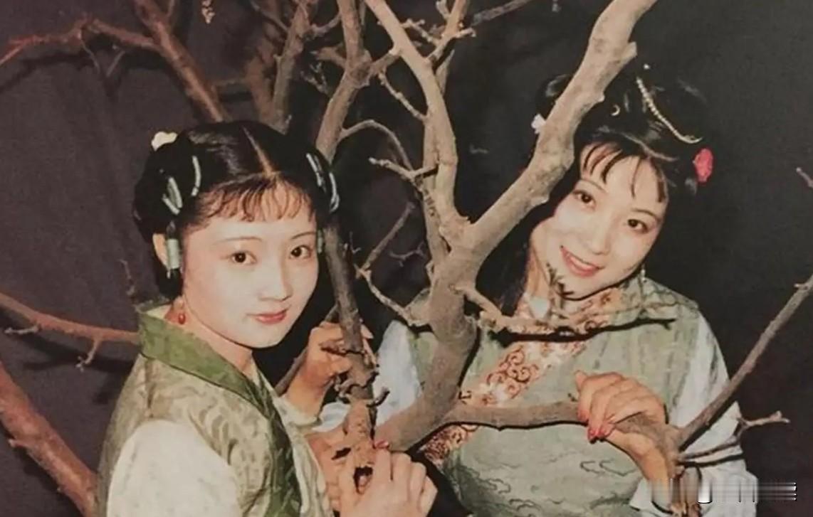 很多人分不清彩霞彩云。
其实就是先喜欢贾环的是彩霞，后喜欢贾环的是彩云。
老老实