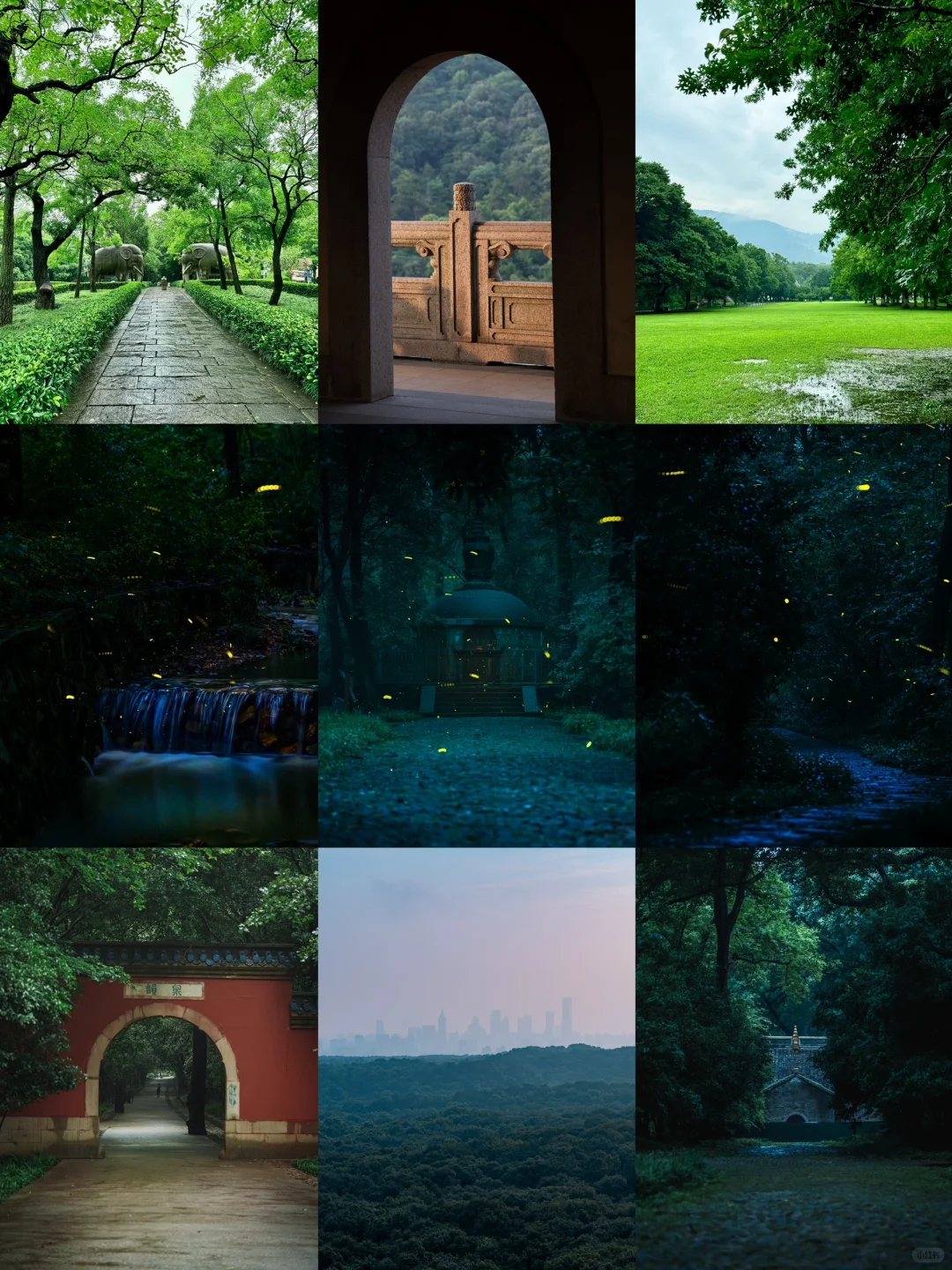 为了一场仲夏萤之梦｜灵谷寺