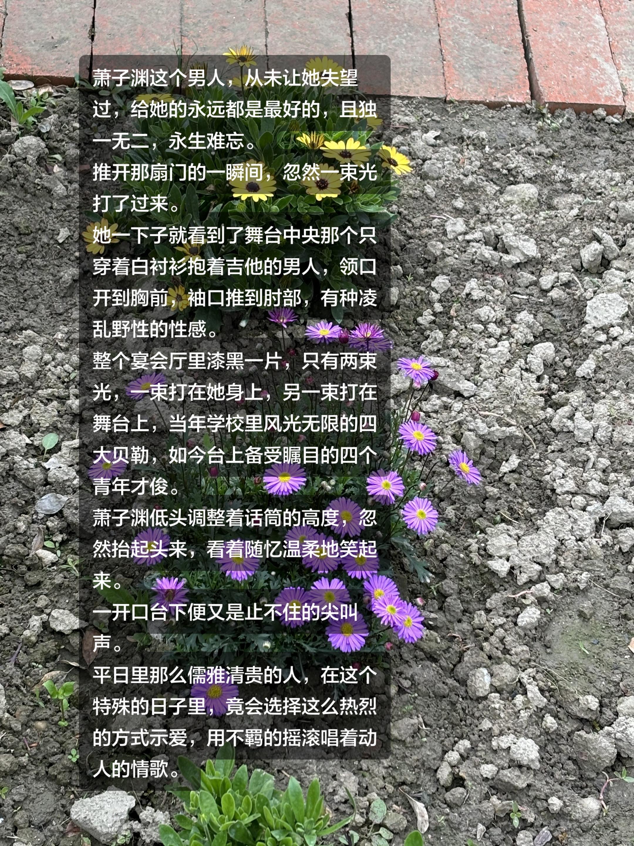 回眸一笑 东奔西顾