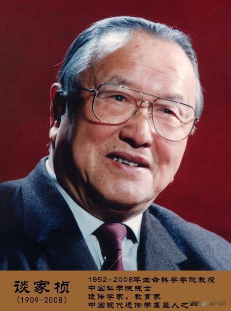 什么叫战略远见？90年代末，一群外资挂着"免费体检"的牌子钻进偏远乡村，悄无声息