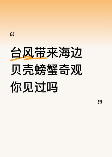 台风带来海边贝壳螃蟹奇观你见过吗