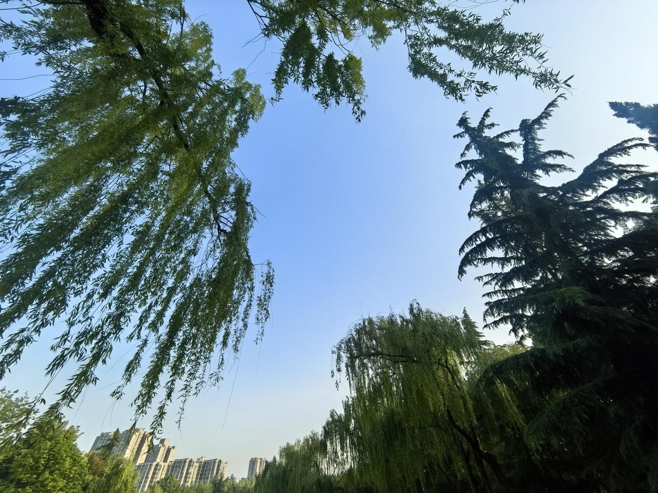下联：
蓝天湛湛鹰初翔

春日生活打卡季